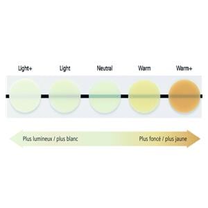 Variolink Esthetic IVOCLAR VIVADENT - DC - Neutre - Seringue de 5g