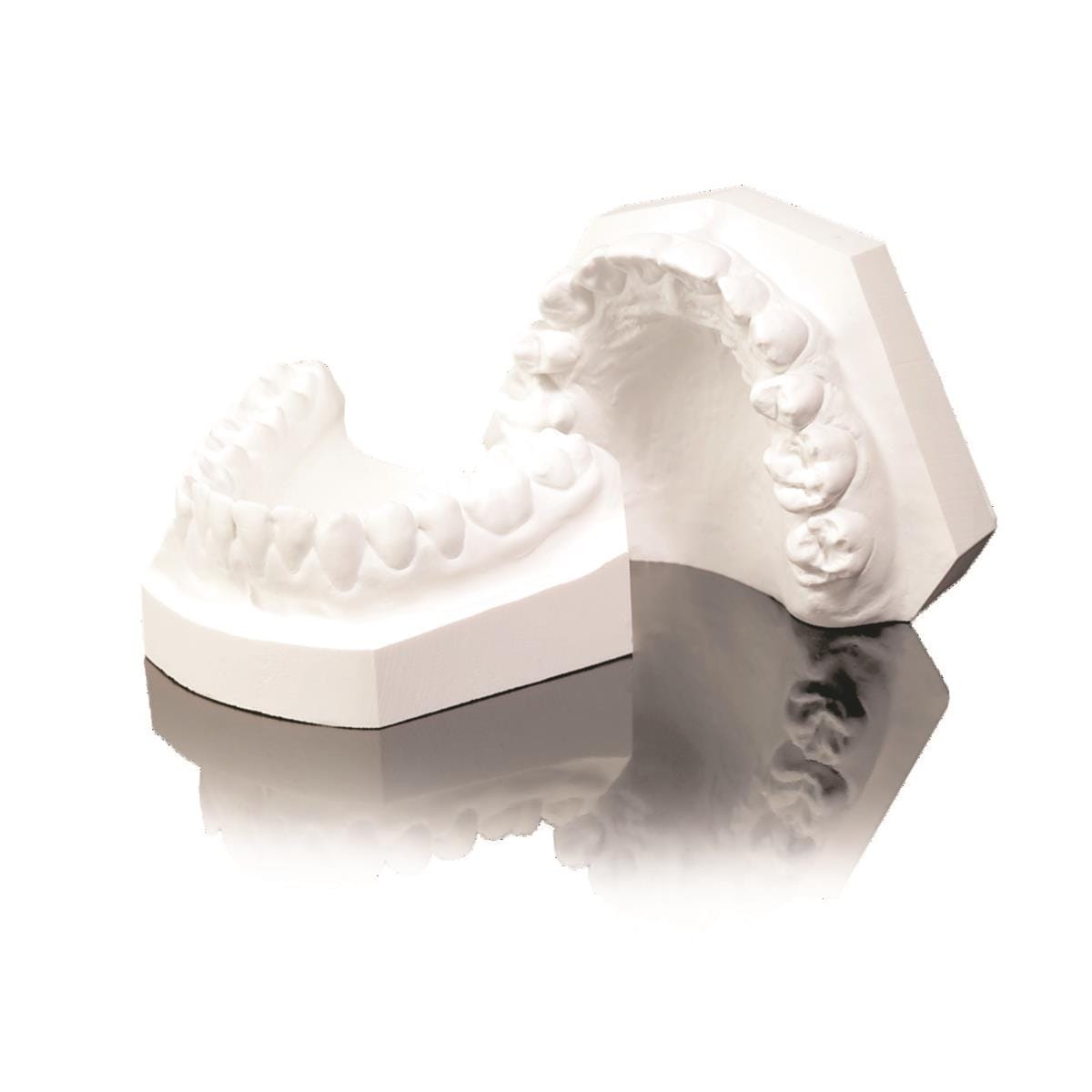 Pltre SHERABIANCO dur orthodontic blanc neige SHERA - Le carton de 20 kg