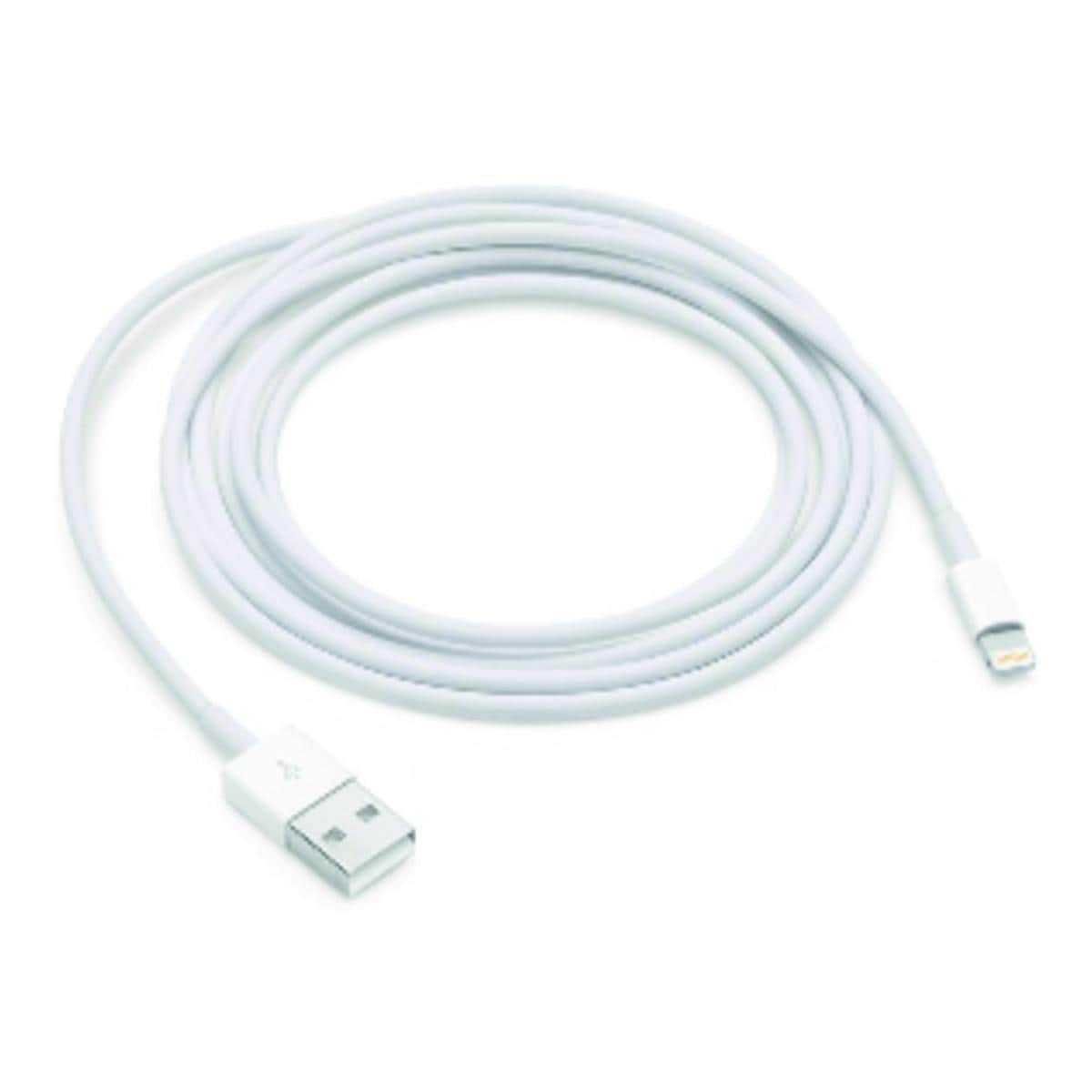 Cable lightning vers USB - 2M - Apple